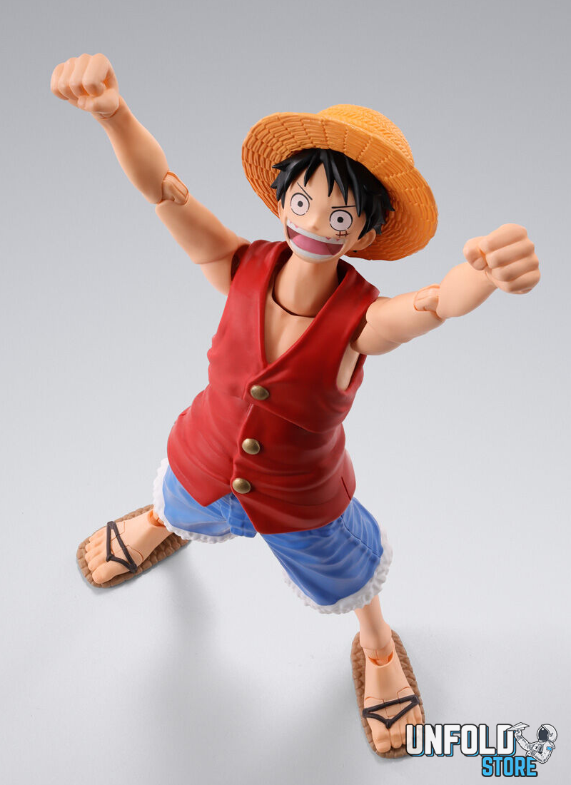 Monkey D. Luffy Figure Thumb